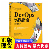 软件工程与开发项目管理 计算机软件开发及运维服务的综合框架